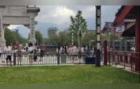 实探少林寺：仍需购票且价格不变，卖香摊位已撤，仅剩几个在卖药膏